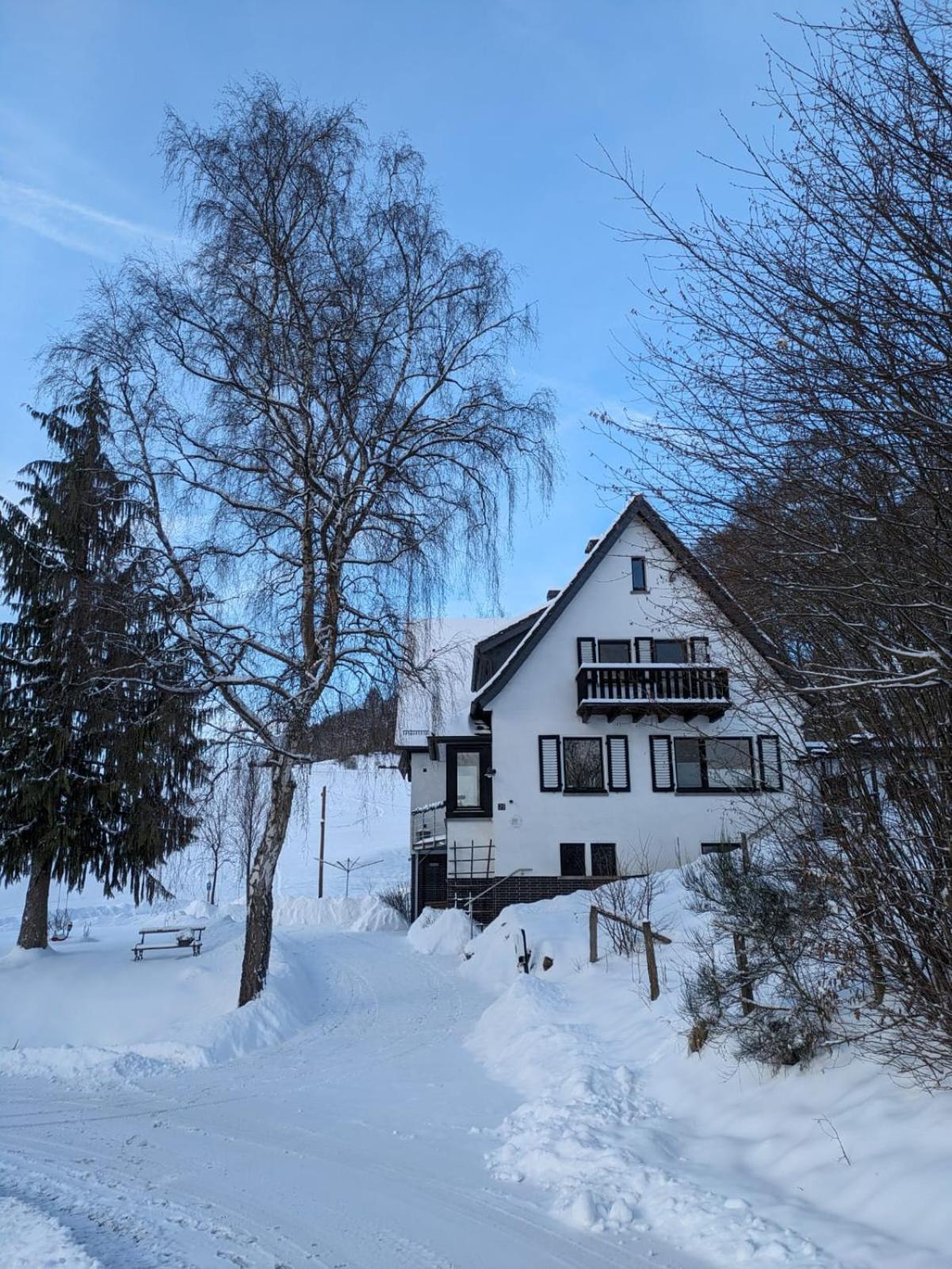 Ferienwohnung Im Hambach Bad Berleburg Ngoại thất bức ảnh